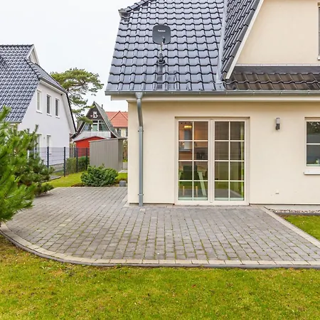 Seehase * זינקסט