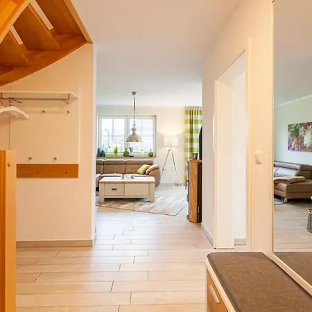 Seehase זינקסט