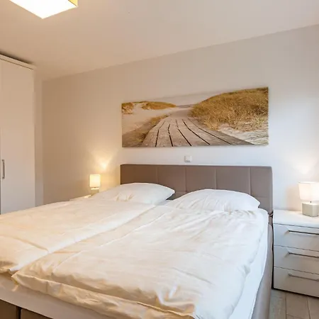 Seehase זינקסט